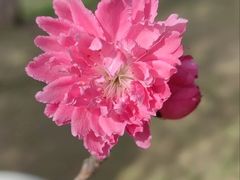 -南山风景名胜区