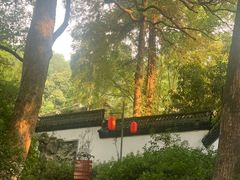 -杭州黄龙洞