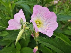 -白鹭湾湿地公园