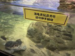 -江和美海洋公园