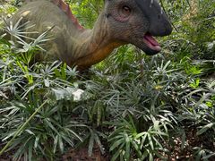 -海南热带野生动植物园