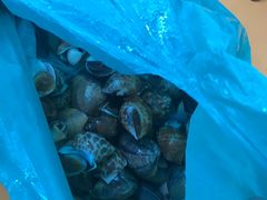 -班赞海鲜市场