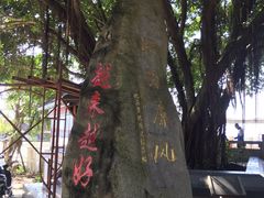 -仓山金山寺