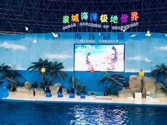 -泉城欧乐堡海洋极地世界