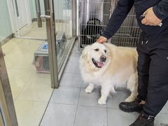 -宠福鑫康馨动物医院·骨科·眼科