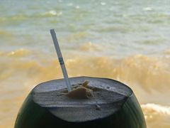 -威远炮台