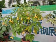 -国家植物园南园