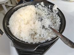 -煲来饱去冷水鱼