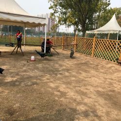 -萌宠亲子动物乐园(槐房万达店)