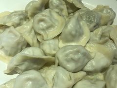 茴香肉大份-岳姥姥饺子(泺文路店)