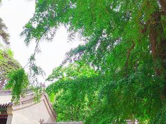 -潭柘寺景区