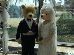 -济州岛泰迪熊博物馆