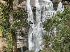 -海南热带雨林国家公园吊罗山景区