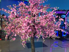 -环游嘉年华(永旺梦乐城广州番禺广场店)