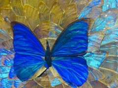 -上海昆虫博物馆