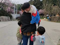 -秀丽东方