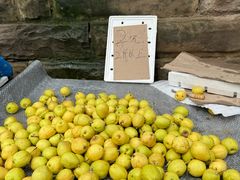 -野水沟小商品批发市场