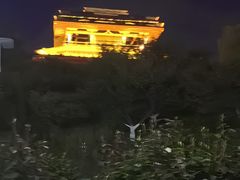 -桃花岛公园