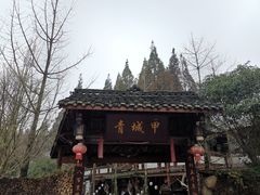 -青城甲(青城山店)