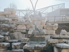 -太原动物园