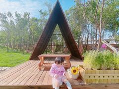 -丁香湖公园
