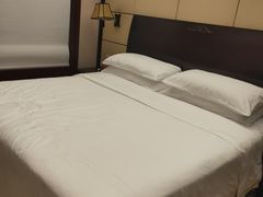 -维也纳国际酒店(深圳新洲店)