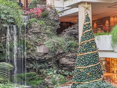 -广州白天鹅宾馆