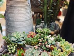 -双季花艺园艺市场(浦东店)