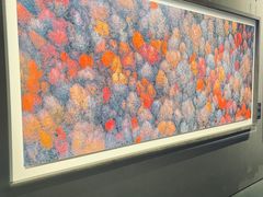 -罗红摄影艺术馆