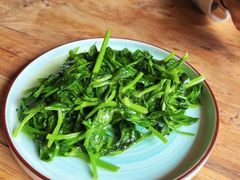 豌豆尖-云之南(八里庄店)