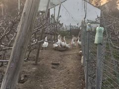 -小六农家乐(崇明西沙湿地店)