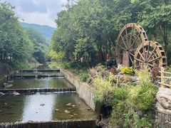 -广州白江湖森林公园