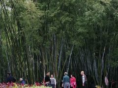 -晓港公园