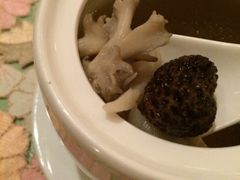 iphone_upload_pic-西郊5号·Maggie 5