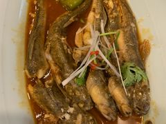 -渔娘渔家丹东海鲜(东直门店)