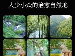-莫干山风景区