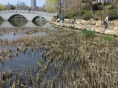 -大连植物园