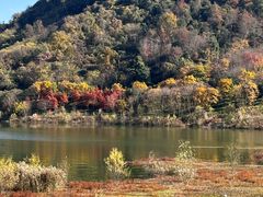 -青山湖景区