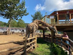 -大连森林动物园