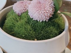 -上海总会SHANGHAICLUB(兴业太古汇店)