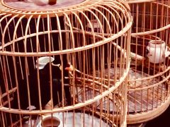 -到家尝北京菜(西坝河店)