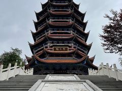 -铁山坪森林公园