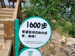 -大岭沟猕猴桃谷风景区