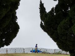 -小麦岛公园
