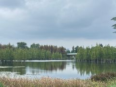 -白鹭湾湿地公园