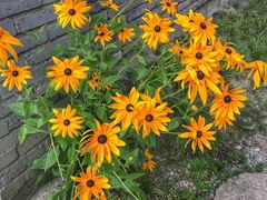 -终南山国家森林公园