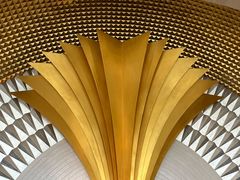 -碧中海汤泉汗蒸酒店