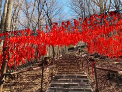 -帽儿山风景区