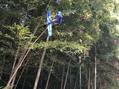 -杭州半山国家森林公园