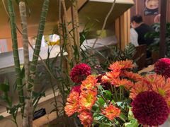 -一坐一忘云南菜(卓悦中心)